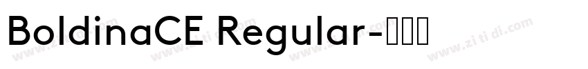 BoldinaCE Regular字体转换